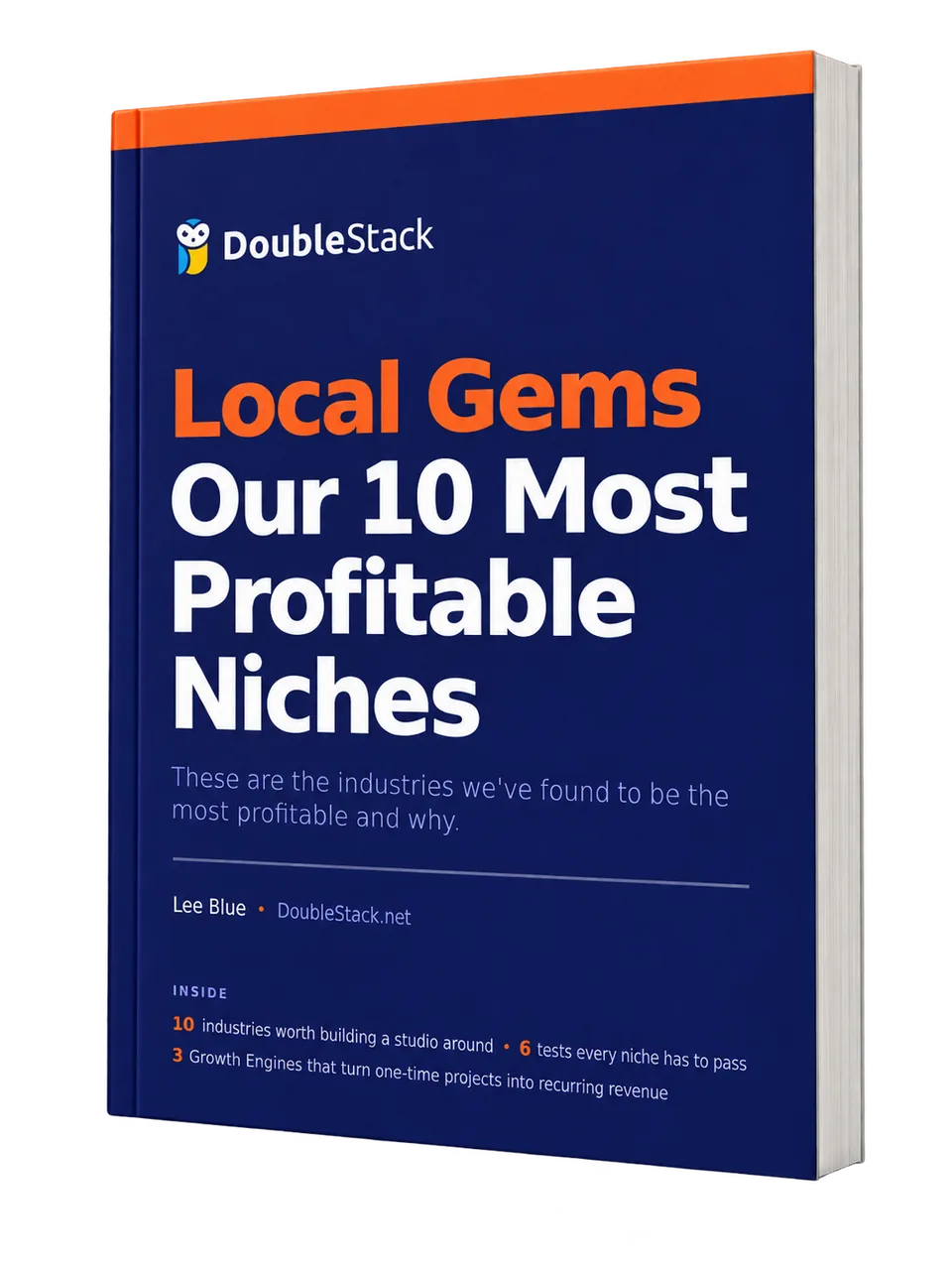 The 10 Most Profitable Niches — a DoubleStack eBook by Lee Blue